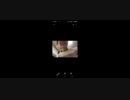 かなたの声聞くとラーメンマン思い浮かぶからやめてってDM来る〜