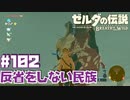 ルージュとゼルダ、ゼルダとウルボザ【英傑たちの詩編】#102
