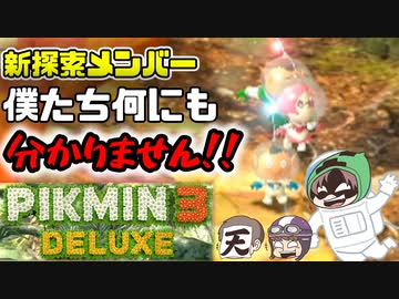 ピクミン3デラックス　＃20