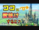 真正面ハグキ･厄ガノワープVSヴォーイ判定･ガマンくらべのやばいバグなど小ネタ集【ブレワイ BotW】裏技 バグ 検証 ゆっくり実況 glitch