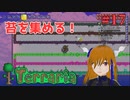 苔を育ててみよう！#17【Terraria】
