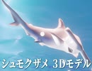 シュモクザメの3Dモデル  発売❢❢