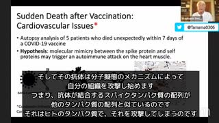 接種後7日以内に突然死した5人の患者についての論文解説