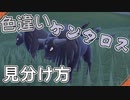 色違いケンタロスの見分け方【ポケモンSV】