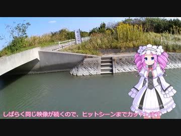 四国めたんの釣り日記