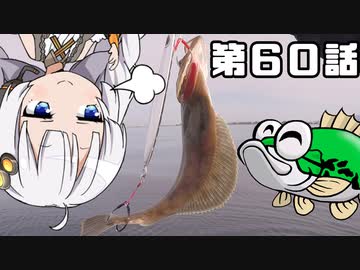 あかりちゃんと行くカヤックフィッシング第60話