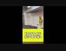 10回クイズ!!ポンコツでも可愛いのでOK(^_-)-☆