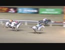 2022年12月16日川崎競馬12R ４４ｔｈホワイトクリスマス賞(C1・C2白毛芦毛選定馬) コスモブライヤー