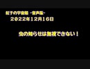 紅子の宇宙船 －音声版－ 2022年12月16日