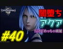 【実況】キングダムハーツⅢ～2人で行くディズニーの世界～＃40【初見】