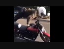 世界の衝撃的映像集Part78