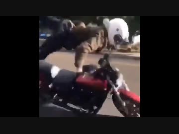 世界の衝撃的映像集Part78