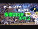 ロードバイクでゆるポタ 第４９話【多摩川GRその２】