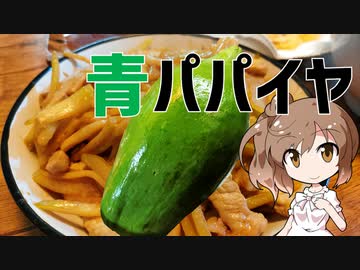 青パパイヤの青椒肉絲