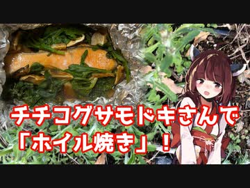 【思い切って野草を食べてみよう】#97 チチコグサモドキさんで「ホイル焼き」！