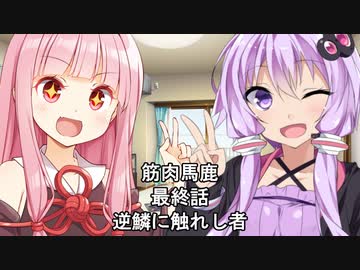 筋肉馬鹿 其の七