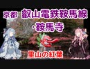 【京都】琴葉茜が代読する鞍馬の紅葉【もみじのトンネル】
