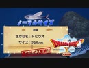 【ドラクエ10オフライン】目覚めし脳筋の種族【実況プレイ】part25