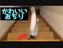 かわいいおちり