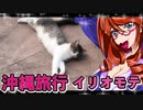 沖縄旅行イリオモテヤマネコ_ニコニコ動画