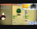 【Color& gray】デバッグの旅＿後編　#34(ゆっくり実況)