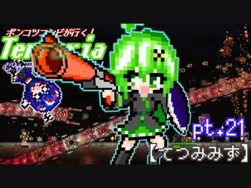 ポンコツコンビが行く！ぐだぐだテラリア実況 pt.21【てつみみず】