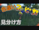 色違いズピカの見分け方【ポケモンSV】