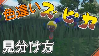 色違いズピカの見分け方【ポケモンSV】