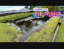 【ゆっくり】鹿児島 ぶらり気まま旅 その3 観光スポット巡り（城山公園／仙巌園 編）