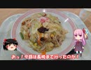 琴葉姉妹と行く釣行記録（海釣り編part28）