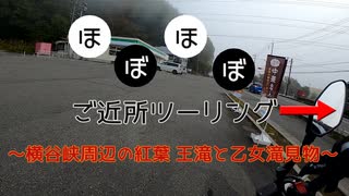 【ボイロ車載】ほぼほぼご近所ツーリング　その4～横谷峡周辺の紅葉 王滝と乙女滝見物～【長野勢】