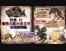 [ソウルサクリファイスデルタ]ソルサク特集 #2 魔物文献の赤文字(小型魔物)【ソフトウェアトーク】