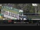 【ウマ娘風】第74回朝日杯FS GⅠ(2022)
