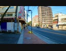 千葉県市川市市川-国府台を歩く【今度こそ市川市編 part 4】【散歩211】