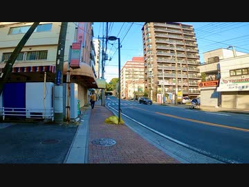 千葉県市川市市川-国府台を歩く【今度こそ市川市編 part 4】【散歩211】