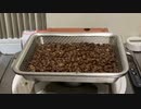 珈琲豆のガラス器具焙煎記録(20221218-1)