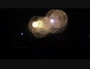 【第19回 こうのす花火大会2022】鳳凰乱舞の瞬間！