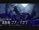 【MHRS縛り実況】ゴア・マガラ戦【裸討伐隊バキューム】part1