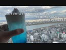 【旅行】空から大阪を見てみよう【外配信】