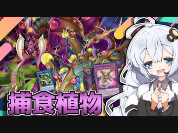 捕食植物が強化！安くて強くて使いやすいプレデタープランツとホルアカリィ！！！【遊戯王マスターデュエル】『VOICEROID実況』