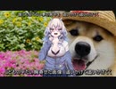 犬ピース（2期）