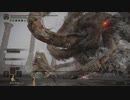 【ELDEN RING実況】vs竜王プラキドサクス part185