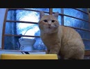 戸締りはしっかりと…
