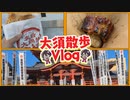 【Vlog】大須をふらついてみたVTuber【街ブラ/雅楽アマト】