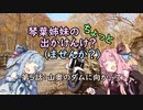 【琴葉姉妹車載】琴葉姉妹のちょっと出かけんけ？～山奥のダムに向かって【GLADIUS400】