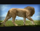 PS3 アフリカ　AFRIKA　PV 動物篇(H.264)