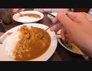 ［再］参政党カレー