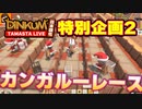 【Dinkum】カンガルーレースで遊んできました！【ディンカム】