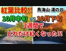 【比較】　紅葉比較!！！　10月中旬VS10月下旬　2週間でどれだけ紅くなった？！　鳥海山　湯の台　山形県　車載動画