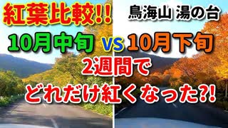 【比較】　紅葉比較!！！　10月中旬VS10月下旬　2週間でどれだけ紅くなった？！　鳥海山　湯の台　山形県　車載動画